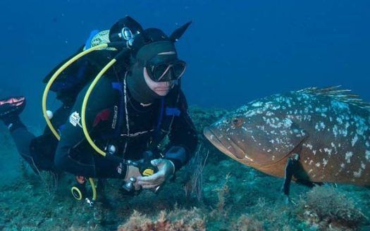 Centro de Buceo Splash