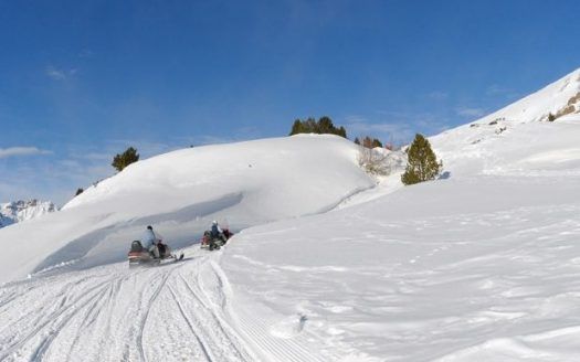 Sleds