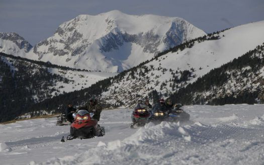 Sleds