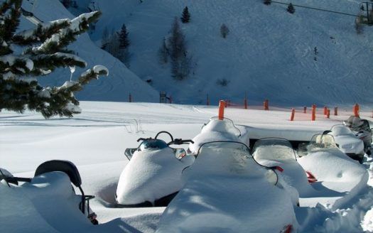 Sleds