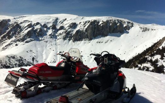 Sleds
