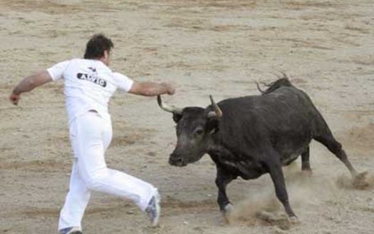 Ganadería Adrián Dominguez