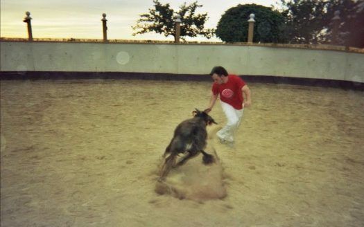 Paraje Los Palos