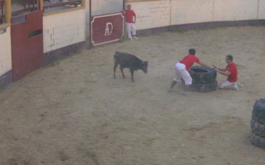 Paraje Los Palos